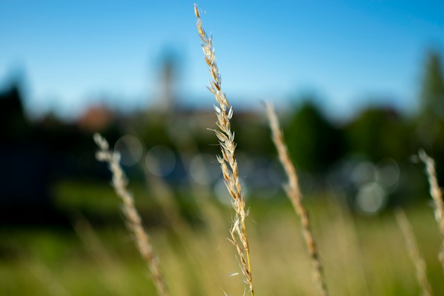 Naturlandschaft Nordrhein-Westfalen